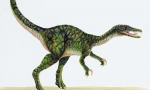 Brzina pokretnih dinosaura